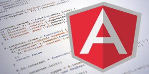 angularjs development
