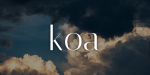 koa