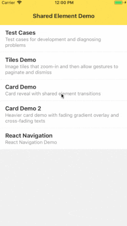 React Native Shared Element
