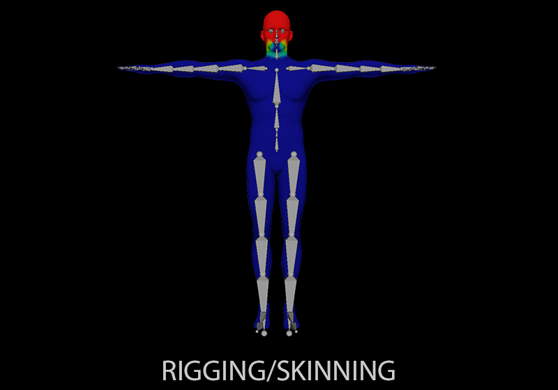 Character Rigging and Skinning