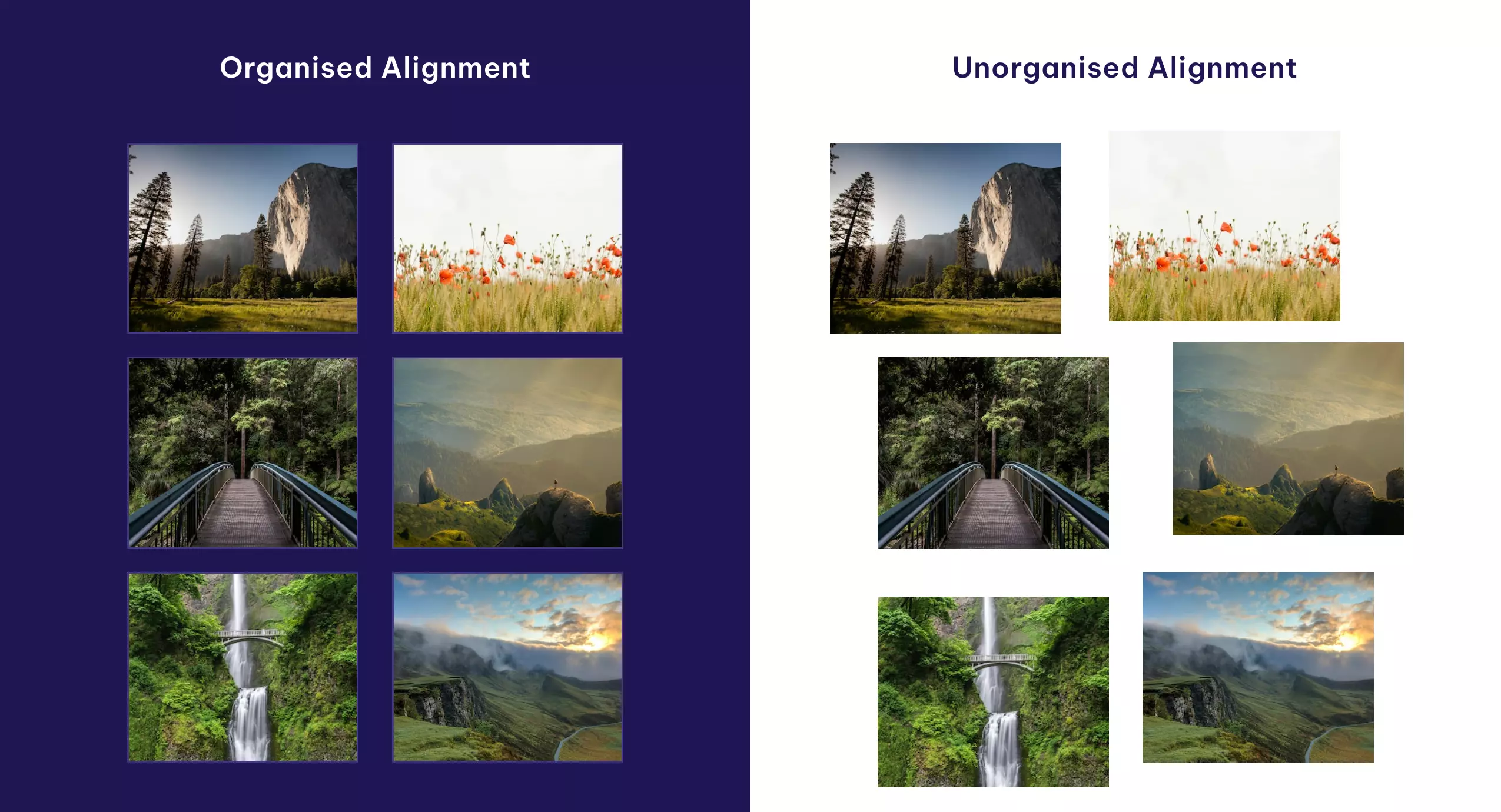 alignment