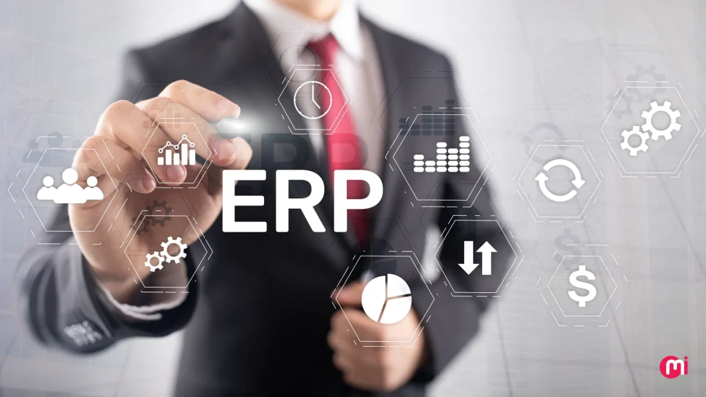 guide to erp software development