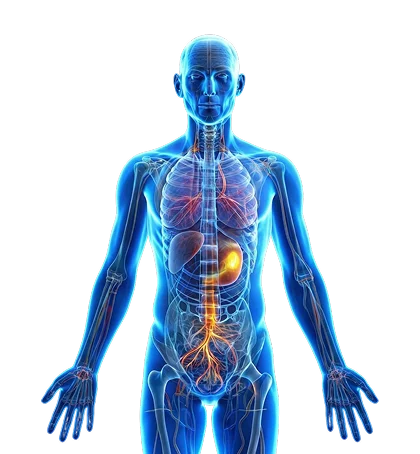 Healthcare Digital Twin