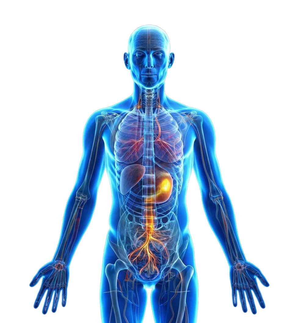 Healthcare Digital Twin